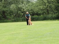 Bendix und das Boxband (71)